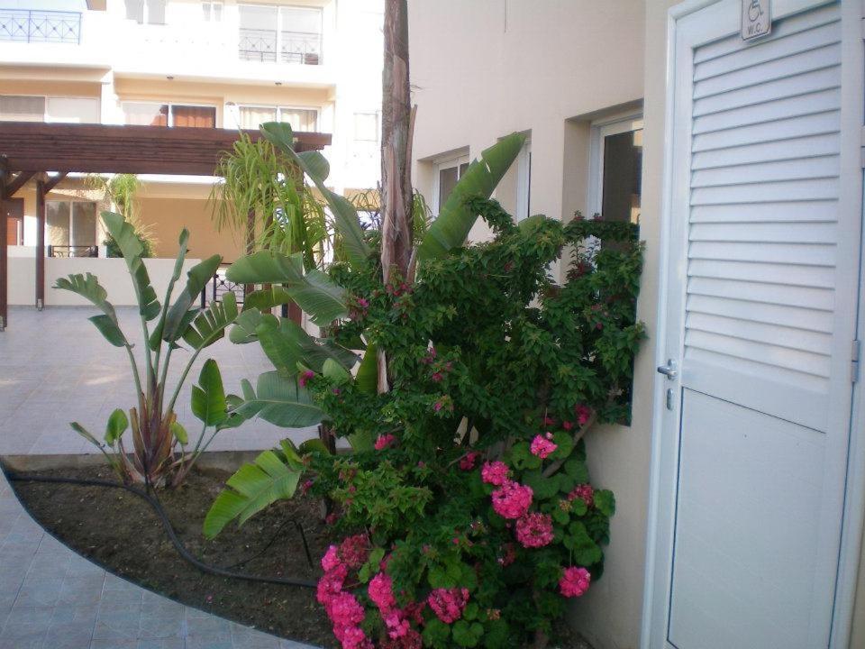 104 Excellent 2 Bed Apartment With Pool View, Ac & Gym! Perivolia Exterior foto