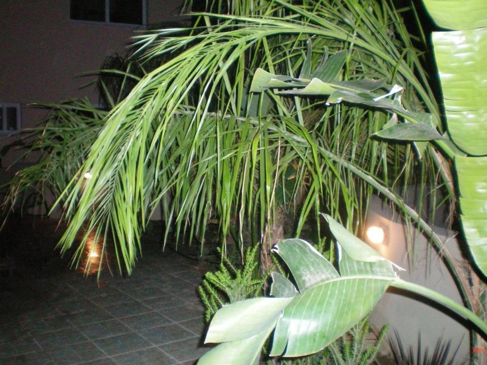 104 Excellent 2 Bed Apartment With Pool View, Ac & Gym! Perivolia Exterior foto