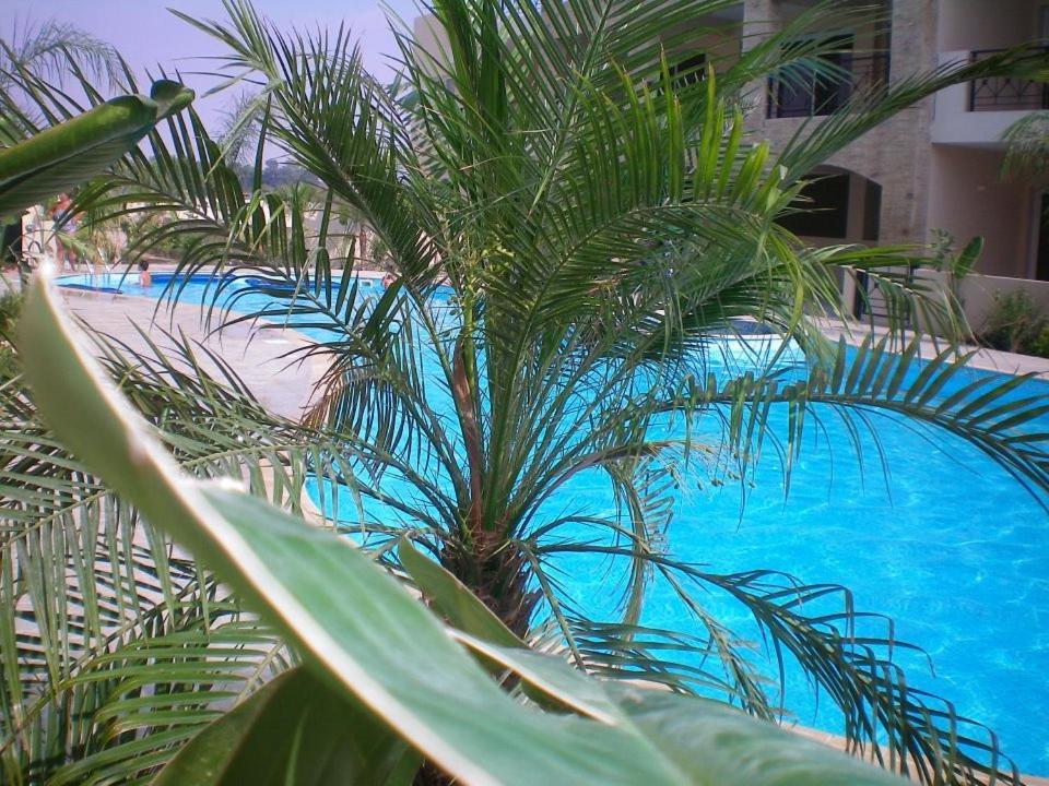 104 Excellent 2 Bed Apartment With Pool View, Ac & Gym! Perivolia Exterior foto