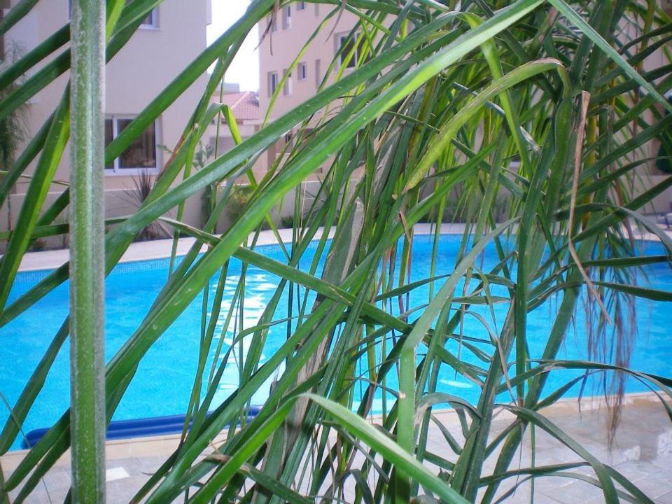 104 Excellent 2 Bed Apartment With Pool View, Ac & Gym! Perivolia Exterior foto