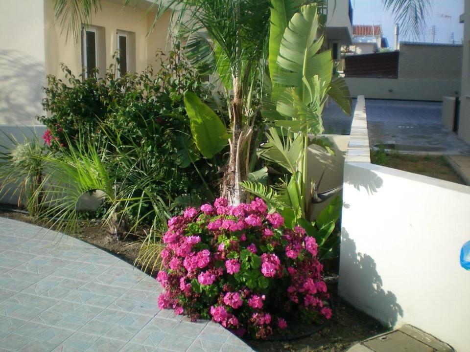 104 Excellent 2 Bed Apartment With Pool View, Ac & Gym! Perivolia Exterior foto